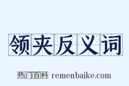 领夹反义词是什么意思的图片